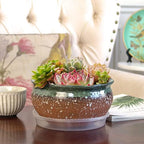 8 Inch Glazed Terracotta Plant Pot Round Ceramic Succulent Planter Pot with Drainage and Saucer Cactus Clay Pot Bonsai Pot (Dark Green Rim) - Image 6