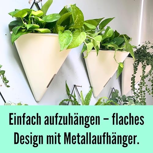 LaLaGreen Bundle- 2 Pack, 12 Inch White Geometric Self Watering Pot + 7 Pack, Small Medium Large Planter Rectangular Window Plastic Boxes Plant Herb Flower Holder Modern Stylish Hanging Indoor Decor - Image 6