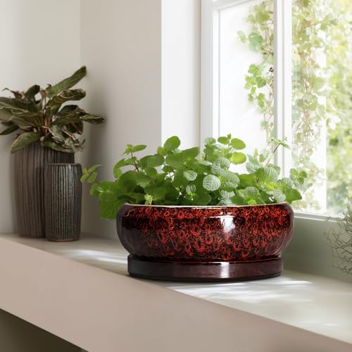 Bonsai Pots with Drainage Hole - 13 Inch Ceramic Succulent Pots, Large Succulent Planter with Saucer, Shallow Planter Indoor Outdoor, Round Planter Bowl, Apartment Decor, Garden Gifts, Red - Image 6