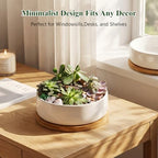 ZOUTOG 6 Pack 6" Ceramic Succulent Pots, White Planters with Drainage Tray - Image 3