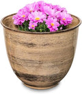 Headwind Glazed Ironstone Hamilton Collection Decorative Plant Pot – 14" Sandstone Beige Pot – Lightweight & Durable with Drainage Flower Pots for Indoor Plants & Outdoor Planter Use by Robert Allen by Headwind