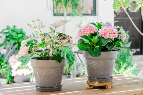 Melphoe Plant Pots Indoor with Drainage & Saucer, 2Pack 10 inch Flower Pots Outdoor Planters for Indoor Plants Garden Home Decor Cactus Succulent, Rigid Plastic (Imitation-Terracotta) Vine-Embossed - Image 2