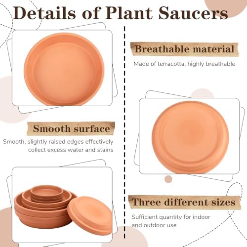 Qinyoung 10 Pcs Terracotta Pot Plant Saucer Set, Terracotta Planter 4.53inch 6.5inch 8.5inch for Indoors Outdoor, Durable Flower Drainage Tray for Plant Pots Base - Image 3