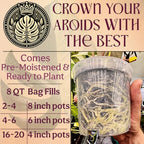 Craft Aroid Potting Mix- Elite Organic Alocasia, Philodendron, Monstera Soil Mix, Chunky, Well Draining Potting Soil for Indoor Plants, All Tropical Plants & Houseplants, Sustainable & Peat Free 8QT - Image 6