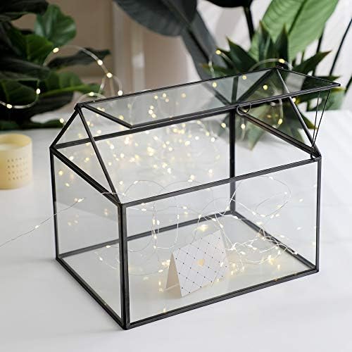 Large Glass Geometric Terrarium Container Tabletop Large Close House Shape Box Planter for Succulent Plant Moss Fern with Swing Lid Black Decor 12 x 9 x 10 inches, No Plants Included by Purzest
