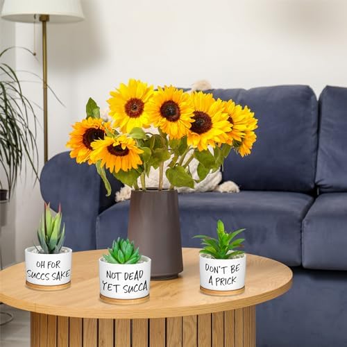 Domensi 9 Pcs Funny Succulent Pots Ceramic Planters Bamboo Tray,Funny - Image 6