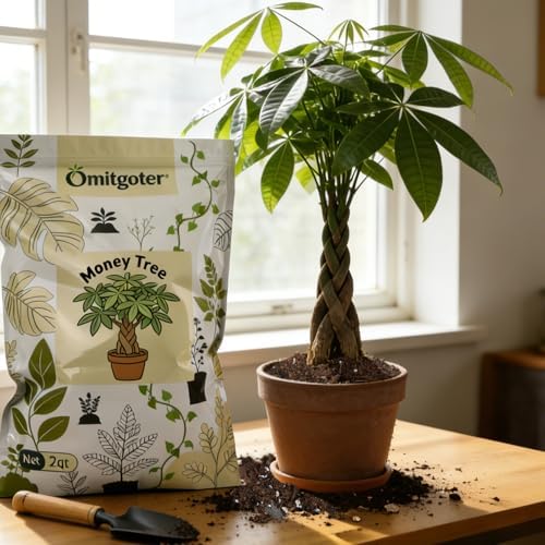 All-Natural Money Tree Soil & Indoor Potting Mix 10QT - Drainage-Enhanced Plant Soil for Healthy Indoor Plants - Image 4
