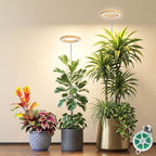 Grow Lights for Indoor Plants Full Spectrum,6.3" LED Wood Grain Plant Grow Light,9.8-65in Height Adjustable Plant Lights Growing Lamp with Auto Timers 3H/9H/12H,10 Dimmable Levels (Wood Grain 2 Pack) by Museluce