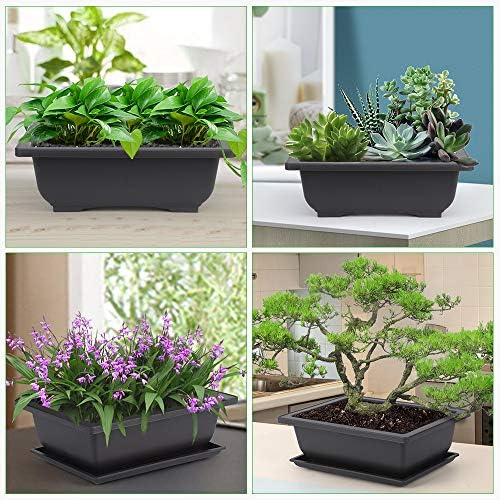 GROWNEER Bonsai Pots with Drainage Tray 6 Pack 9 Inch Bonsai Training Pot - Image 6