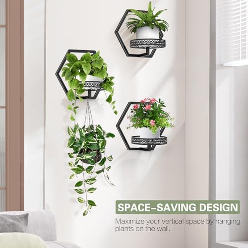 3 Packs Wall Planters for Indoor Plants, 7.9inch Metal Wall Plant Holder Hanger Wall Decor, Wall-Mounted Hanging Planters Window Plant Shelves Outdoor (Black Openwork) - Image 6