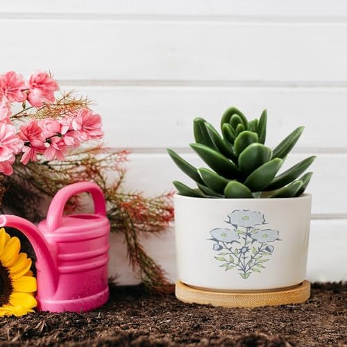 Mughal Flower Ceramic Planters Light Blue Flower Flower Pots for Indoor Plants with Drainage Holes and Saucers Pot for Outdoor Garden Home Plant - Image 5