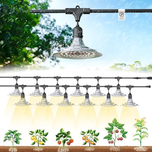 Outdoor Waterproof Grow Light, 41FT Daisy Chain LED, Full Spectrum, UL Certified, for Greenhouse Plants by EVERYGROW