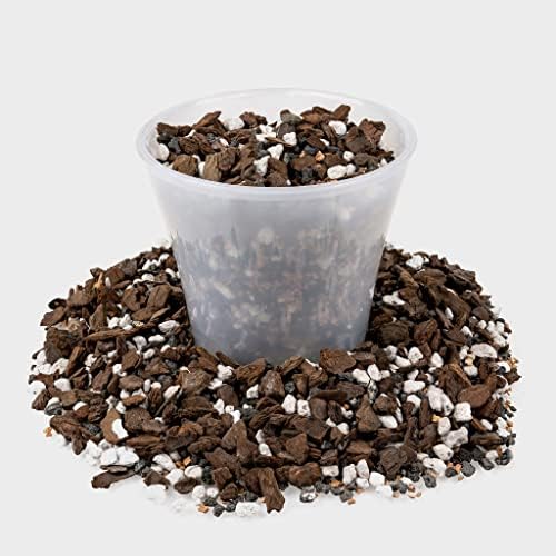 GARDENERA Premium Bonsai Soil All Purpose Fast Draining Mix - 10 Quart - Pumice, Lava, Calcined Clay and Pine Bark Potting Pre Mixed Bonsai Plant Soil Mixture [2 Bags of 5QT] - Image 3