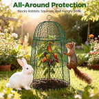 12 Pack XL Metal Garden Cloches for Plants, 17" Tall Chicken Wire Cloches - Image 4