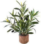 Indoor Fake Olive Plant 12 inch Faux Silk Leaves with Black Rustic Planter Medium Size Perfect Artificial Olive Fruits with Realistic Trunk and Lifelike Stems for Home and Office Decor by Ewtogift