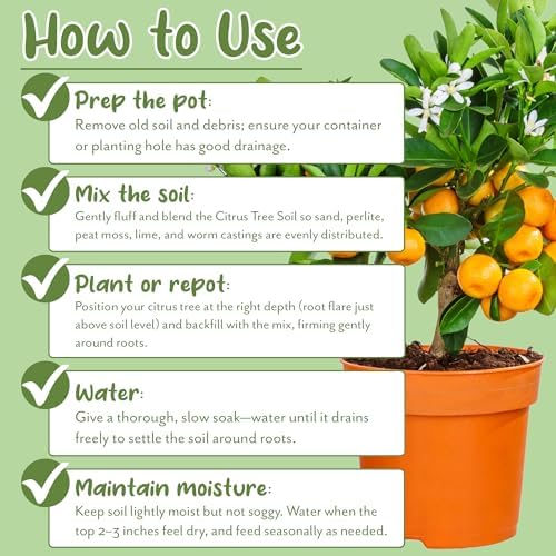 Soil Sunrise Citrus Tree Potting Soil Mix (30 Quarts) Special Blend for Indoor Oranges, Lemons, Limes and More - Image 7