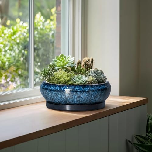 Bonsai Pots - 13 Inch Ceramic Succulent Pots for Indoor Outdoor, Large Succulent Planter with Drainage Hole and Saucer, Round Shallow Flower Planters, Porch Decor, Gardening Gifts, Blue - Image 4