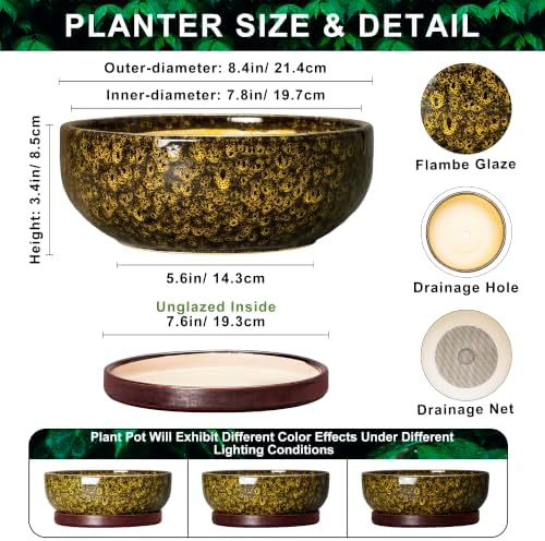 8 Inch Ceramic Succulent Pots with Saucer, Yellow Leopard - Image 2
