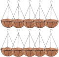 LaLaGreen Outdoor Hanging Baskets (10 in, 10 Pack) Coco Liner Flower Pots by L%C3%A1L%C3%A1Green