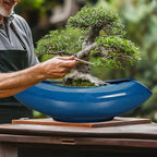 Bonsai Tree Pot 18 Inch - Ceramic Succulent Pots Large Bonsai Planter for Indoor Outdoor Plants Decorative Plant Pot with Drainage Hole Flower Pot for Home Garden Room Decor Blue - Image 4