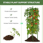 Halatool 6 Pack Tomato Cages for Garden, Up to 63 inch(5.2FT) - Image 2