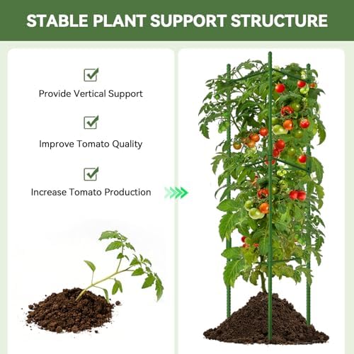 Halatool 6 Pack Tomato Cages for Garden, Up to 63 inch(5.2FT) - Image 2