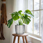 Ceramic Flower Pot - 7 Inch Ceramic Plant Pot for Indoor Flowers, Modern Outdoor Round Planter with Drainage Hole and Saucer, Gifts for Plant Lovers, Home Garden Decor, Silver - Image 6