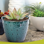 Headwind Ironstone Mandalay - 8" Spearmint Decorative Planter High-Gloss with Embossed Dotted Pattern & Durable Coated Finish – Lightweight Plant Pot Indoor & Outdoor Flower Pots Use by Robert Allen - Image 3