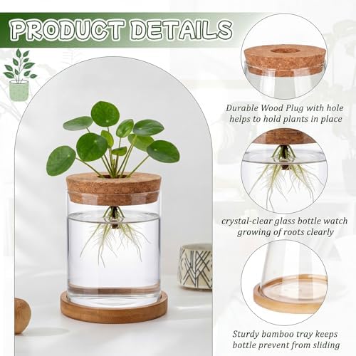 Hushee 12 Pcs Plants Propagation Stations Glass Propagation Jars with Hole Lid Hydroponic Terrarium Vases Gifts for Plant Lovers Home Indoor Office Tabletop Decoration, 2 Sizes - Image 5