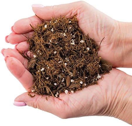 Premium Gardenera House Plant Potting Mix | Fern + New Zealand Bark + Perlite | Great for Pothos, Spider Plants, Montsera, Philodendron, English Ivy - 4 Quart Bag - Image 5