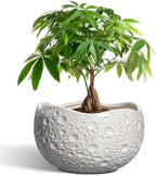 10 Inch Planter, Ceramic Pots for Plants with Drainage Hole, Grey by Thirtypot