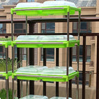 2 Sets Sprouter Tray with Lid Plastic Moisture Preserving Seed Tray - Image 4