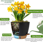 Self Watering Pots for Inoor Ourdoor Plants 10/9/8/7/6.5" Plastic Planters - Image 5
