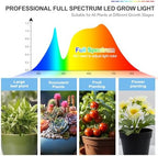 FRGROW 3Head Tabletop Grow Lights for Indoor Plants, Seed Starting, Veg - Image 7