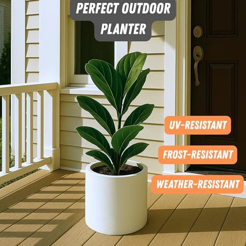 Fox & Fern Large Planter for Indoor or Outdoor, Matte White, 10 Inch - Image 5
