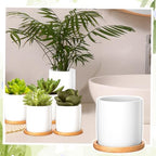 Cindeer 6 Pack Small Succulent Pots 3 Inch Plant Pots with Drainage, White - Image 6