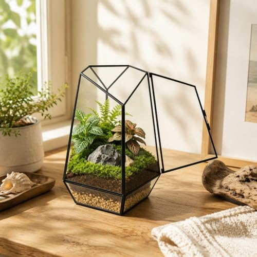 Ferrisland Glass Geometric Plant Terrarium, Clear Glass Succulent - Image 5