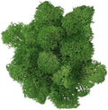 500g Artificial Moss for Crafts, Faux Decorative Plant for DIY Walls Wedding Party Table Centerpieces Home, Green by LKXHarleya