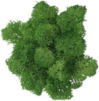 100g Artificial Moss for Crafts, Faux Decorative Plant for DIY Walls Wedding Party Table Centerpieces Home, Green by LKXHarleya