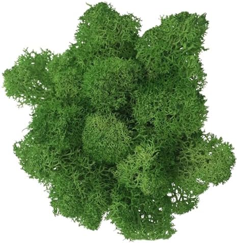 100g Artificial Moss for Crafts, Faux Decorative Plant for DIY Walls Wedding Party Table Centerpieces Home, Green by LKXHarleya