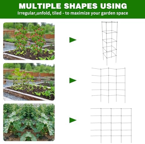 6 Packs Tomato Cages for Garden, 12"×12"×48" Plant Support Cage with Different Spacing, Green Metal Trellis for Climbing Plants Like Cucumber, Flowers - Image 3