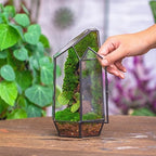 NCYP Small 5.1" x 5.1" x 8.66" Irregular Geometric Glass Terrarium Planter with Door - Home Tabletop Display Container Pot for Moss, Fern - Indoor Clear Decor, Black (No Plants) - Image 2