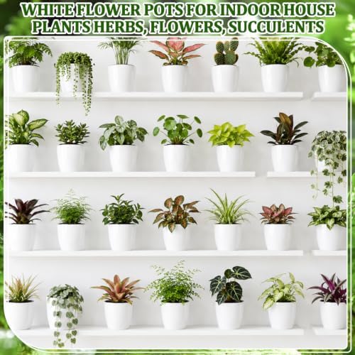 Self Watering Plant Pots, 3.5'', White Black, 54 Pcs - Image 6
