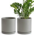 D'vine Dev 2-Pack Ceramic Pots with Saucers, Grey, 8 in, 94-V-D-3 by DvineDevPlanterPotsandStand