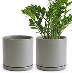D'vine Dev 2-Pack Ceramic Pots with Saucers, Grey, 8 in, 94-V-D-3 by DvineDevPlanterPotsandStand