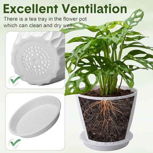 48 Pack 4 Inch Plant Pots for Succulent Drainage, White - Image 4