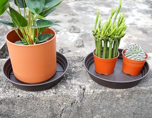 LWALRS Plant Saucer 14 Inch 4 Pack 6 8 10 12 14 16 18 20 25, Plastic Plant Trays for Pots，Extra-Deep Plant Water Dray Tray, Bird Bath Bowl, Heavy Flower Plant Saucers Indoors and Outdoor No Holes - Image 3