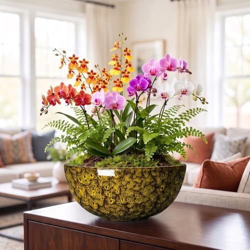 Bowl Planter, 12 Inch Ceramic Bonsai Planter, Yellow Leopard - Image 3