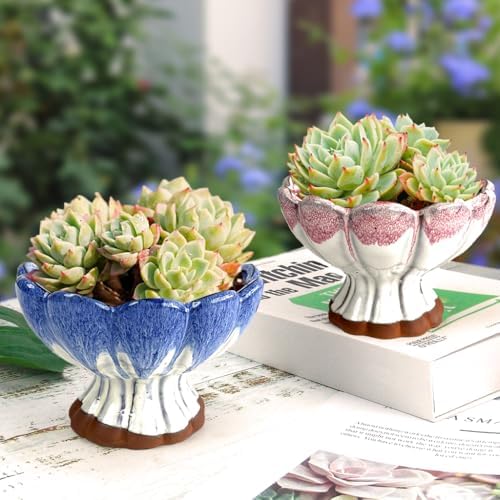 5.5 Inch Succulent Pot with Drainage and Saucer Glazed Terracotta Round Ceramic Succulent Planter Cactus Plant Pot Set of 2 Red Blue - Image 3