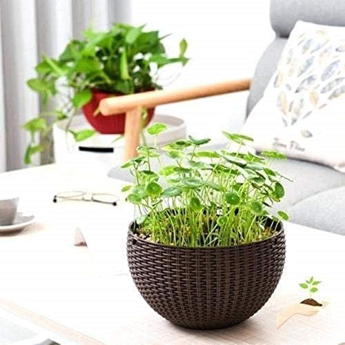 Plastic Hanging Flower Pots –Planters with Chain, 7.1 Inch Diameter, for Indoor Outdoor Balcony Garden, Lightweight Plant Holders for Home Decor Set of 3 (Dark Brown) - Image 2